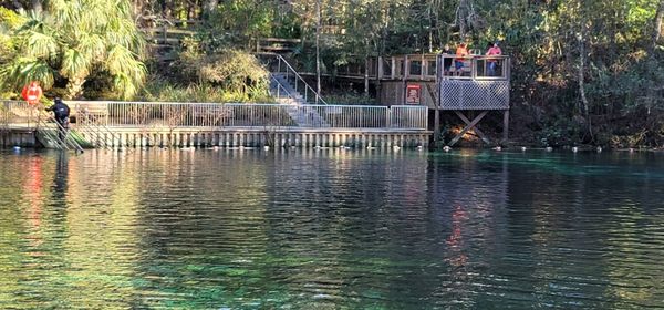Fanning Springs State Park by null