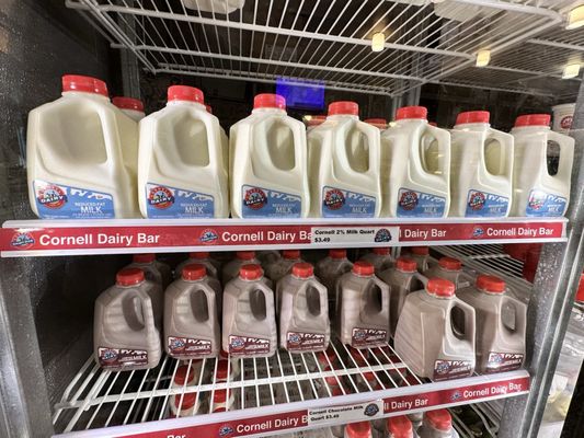 Cornell Dairy Bar by null