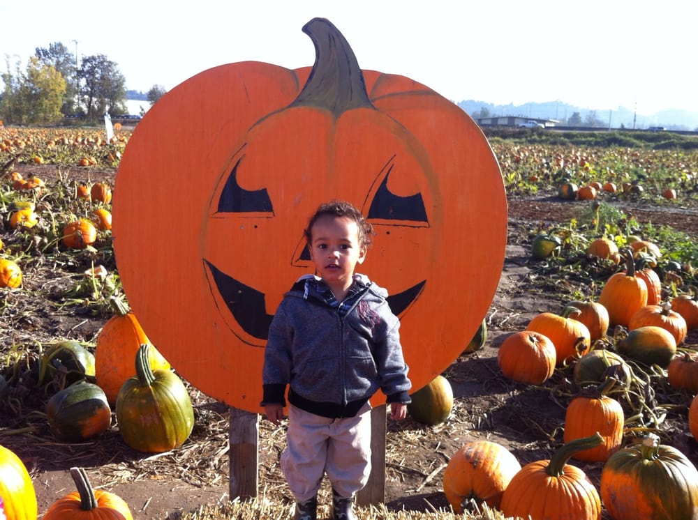 Children of the Future Childcare - childcare center in Renton, WA