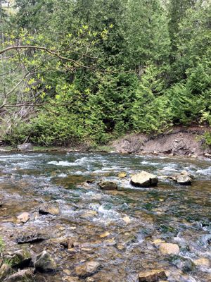 Belfountain Conservation Area by null