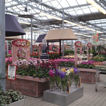 Pflanzen Richter - Florists Near Me - Bünde, NW