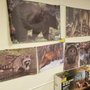 Photo of Pocono Mountain Outfitters