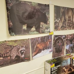 Pocono Mountain Outfitters - Paper Targets
