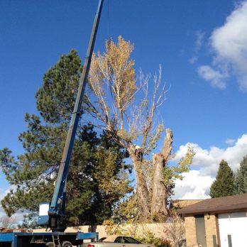 Double D's Tree Service - #doubledstreeservice #Ilovedoubleds #davidbrizzi - Tree Services Near Me - Ogden, Utah