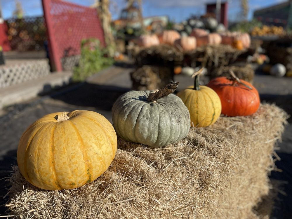 Andreotti Family Farms Half Moon Bay Roadtrippers andreotti-family-farms-half-moon-bay-roadtrippers