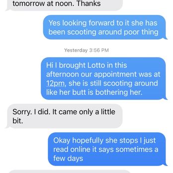 Perfect Pet Salon - Text messages - Pet Groomers Near Me - Concord, California