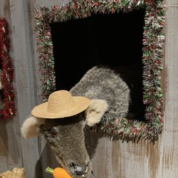 Sheboygan County Museum - Donner