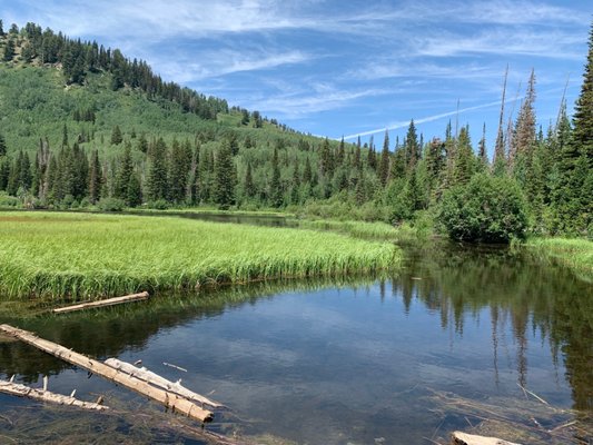 Big Cottonwood Canyon by null