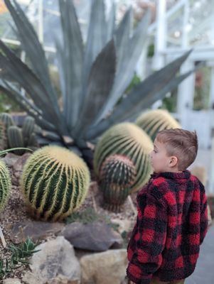 Volunteer Park Conservatory by null
