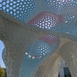 Pillars of Dreams - Pillars of Dreams, Charlotte
