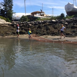 Boothbay Sea and Science Center - Campers learn how to use the net.