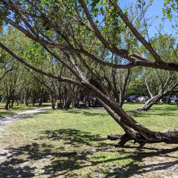 Bill Baggs Cape Florida State Park - Bill Baggs Cape Florida State Park - Parks Near Me - Key Biscayne, Florida