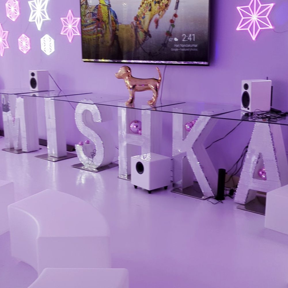Mishka - picture from a video of the tv in event space - Pet Stores Near Me - San Francisco, California