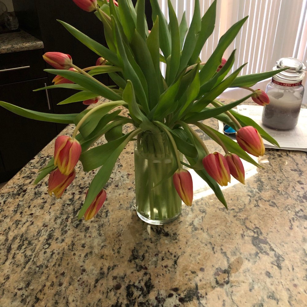 Publix Super Markets - Sad flowers I literally just came home with. - Grocery Near Me - Cutler Bay, Florida Publix Super Markets - Sad flowers I literally just came home with. - Grocery Near Me - Cutler Bay, Florida