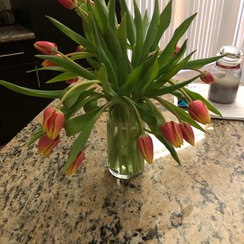 Publix Super Markets - Sad flowers I literally just came home with. - Grocery Near Me - Cutler Bay, Florida Publix Super Markets - Sad flowers I literally just came home with. - Grocery Near Me - Cutler Bay, Florida