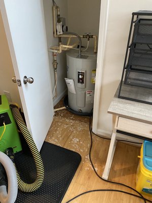 Festival Park by null