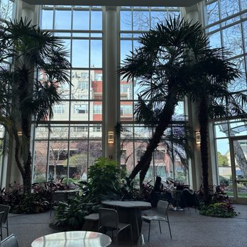 Polaris Cafe - Coffee & Tea Near Me - Emeryville, California Polaris Cafe - Coffee & Tea Near Me - Emeryville, California