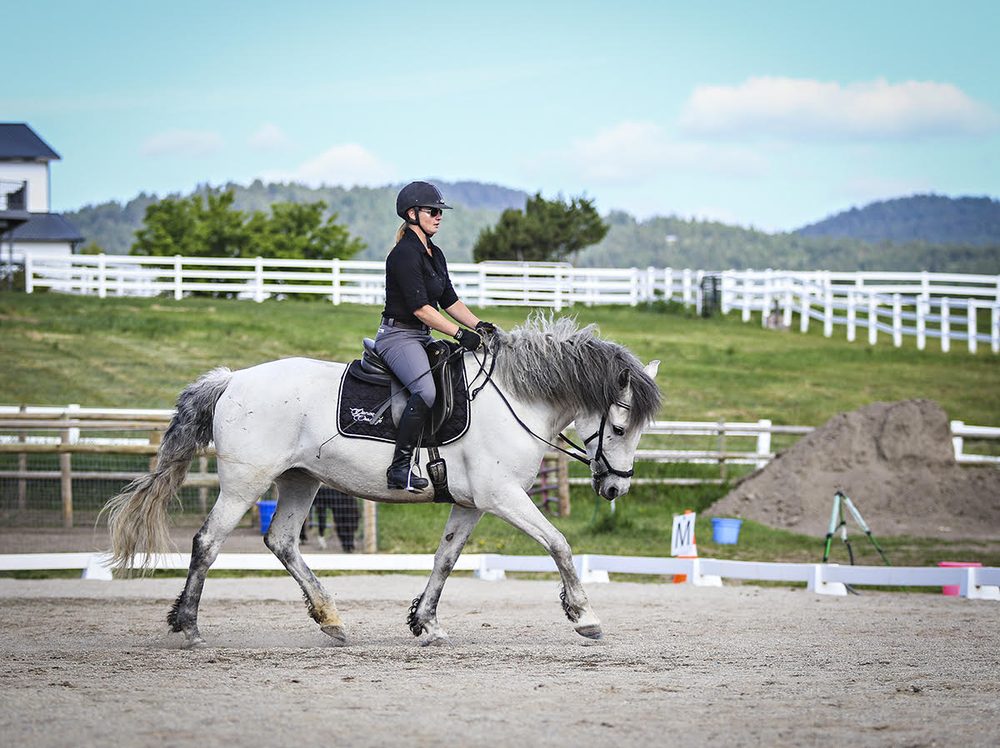 FREEDOM HORSE FARM Updated October 2024 Kalispell, Montana