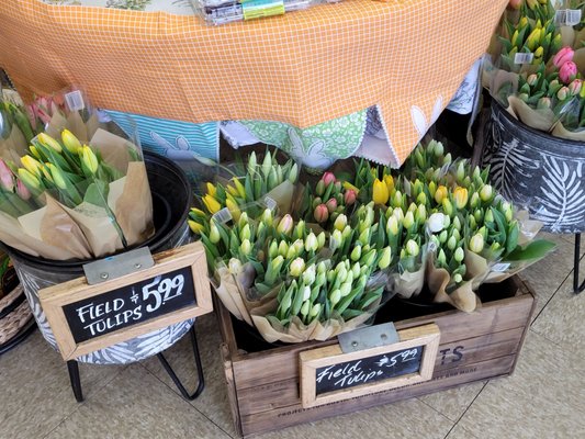 Trader Joe's by null