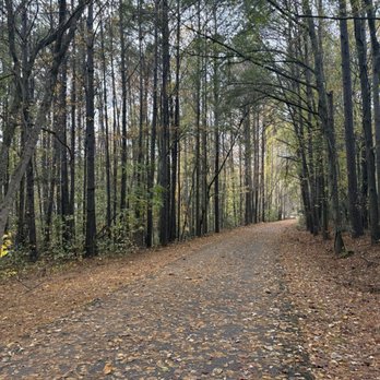 Silver Comet Trail - Parks Near Me - Smyrna, Georgia Silver Comet Trail - Parks Near Me - Smyrna, Georgia