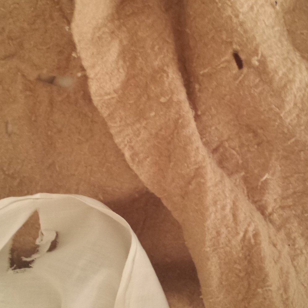Amenity Motor Inn - Sheets are unwashed, full of previous customer's hairs and with holes. - Hotels Near Me - Provo, Utah Amenity Motor Inn - Sheets are unwashed, full of previous customer's hairs and with holes. - Hotels Near Me - Provo, Utah