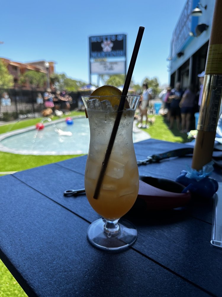 MUTTS & MARTINIS 11 Photos & 14 Reviews 2900 Central Ave, St