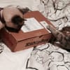 KitNipBox gift card