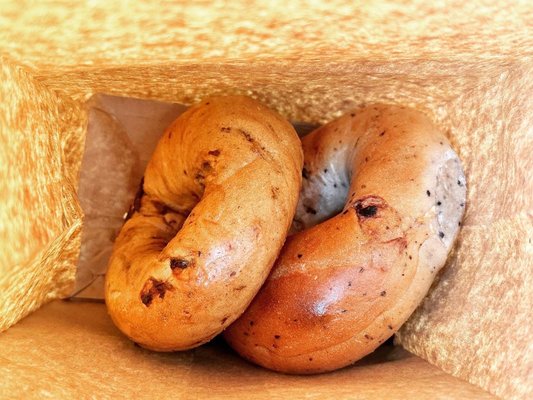 Rockstar Bagels by null