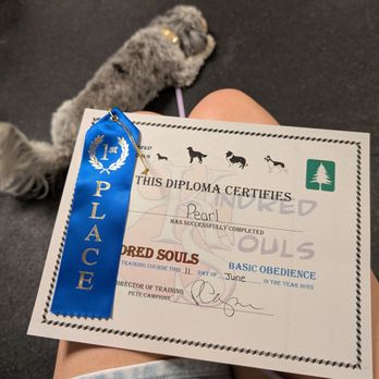 Kindred Souls Canine Center - Graduation diploma - Pet Training Near Me - Howell, New Jersey Kindred Souls Canine Center - Graduation diploma - Pet Training Near Me - Howell, New Jersey