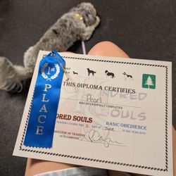 Kindred Souls Canine Center - Graduation diploma
