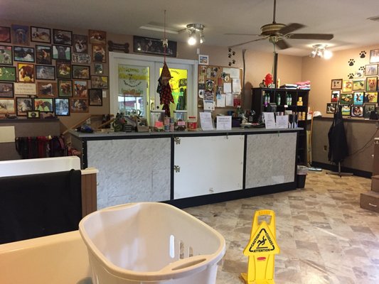 big daddy's doggie daycare