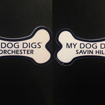 Dot Dogs - Pet Groomers Near Me - Dorchester, Massachusetts