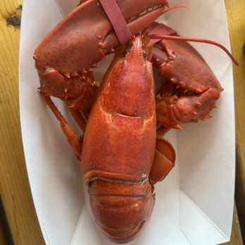 Boothbay Lobster Wharf - 1 1/4 lbs - Seafood Near Me - Boothbay Harbor, Maine