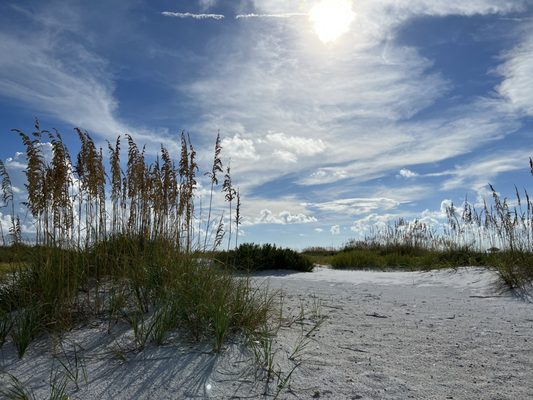 Bean Point Beach by null