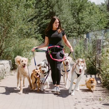 Katie & Co. - Dog Walkers Near Me - Toronto, Ontario Katie & Co. - Dog Walkers Near Me - Toronto, Ontario