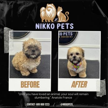 Nikko Pets Mobile Grooming - Pet Groomers Near Me Nikko Pets Mobile Grooming - Pet Groomers Near Me