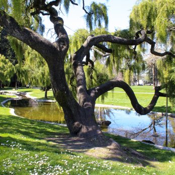Julliard Park - Parks Near Me - Santa Rosa, California
