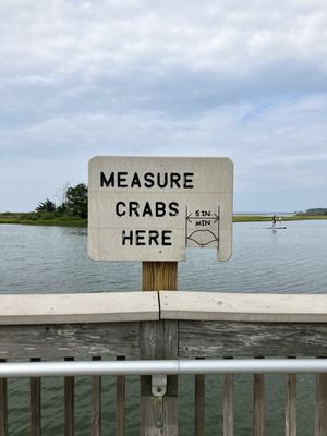 Assateague Island National Seashore by null