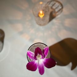 Circe Restaurant and Bar - East Greenwich - Lavender vodka lemonade