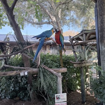 Gatorland - Zoos Near Me - Orlando, Florida