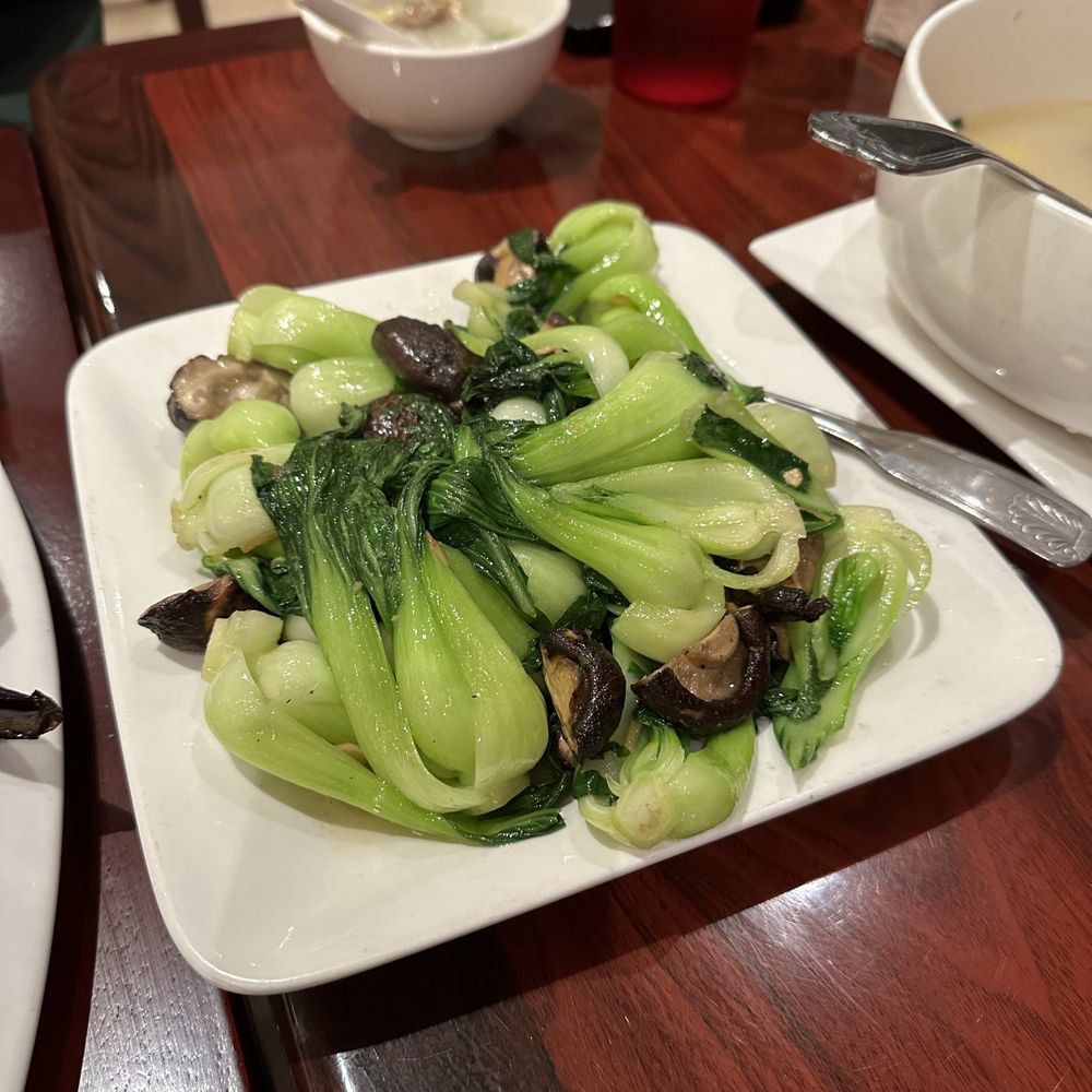 Bamboo House - Boy choy and mushrooms - Noodles Near Me - Humble, Texas Bamboo House - Boy choy and mushrooms - Noodles Near Me - Humble, Texas