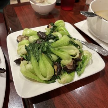 Bamboo House - Boy choy and mushrooms - Noodles Near Me - Humble, Texas Bamboo House - Boy choy and mushrooms - Noodles Near Me - Humble, Texas