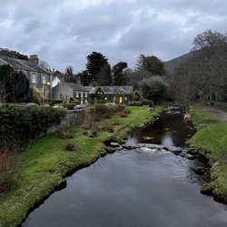 The Rostrevor Inn - The town