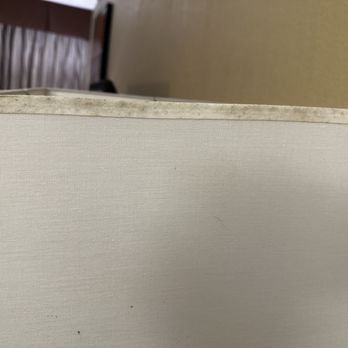 Best Western Executive Inn - Moldy lamp shade - Hotels Near Me - Kenosha, Wisconsin