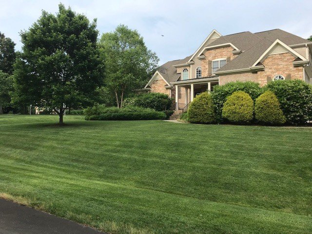 Slide of Southern LawnScapes