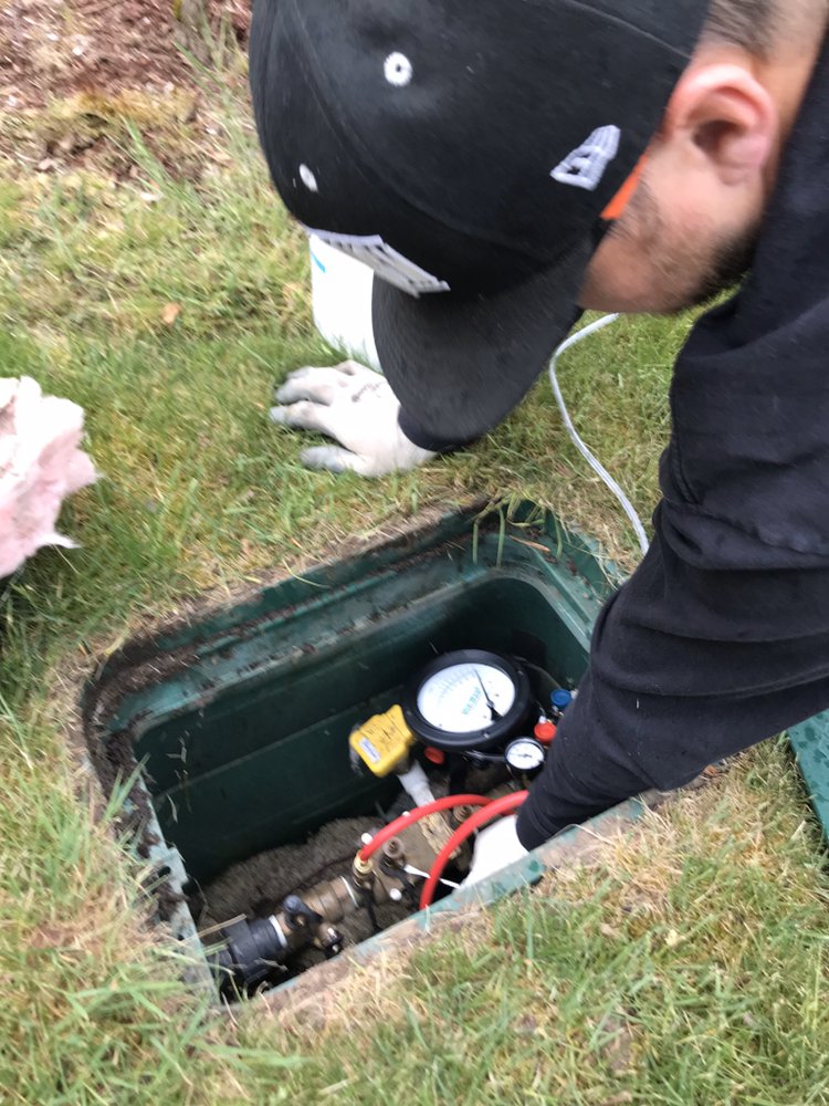 Slide of Puget Sound Backflow