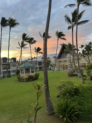 Maui Beach Hotel by null