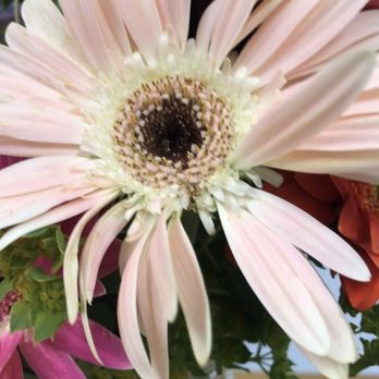 Lily's Flowers - Florists Near Me - Santa Barbara, California Lily's Flowers - Florists Near Me - Santa Barbara, California