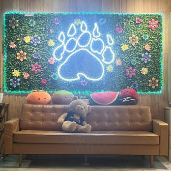 Daboba - Cute interior - Bubble Tea Near Me - Chicago, Illinois