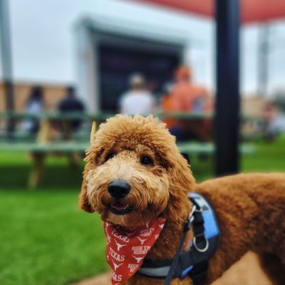 NettBar Shady Acres by null